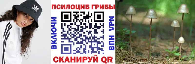 Галлюциногенные грибы Psilocybe  ссылка на мегу ссылки  Островной  как найти закладки 